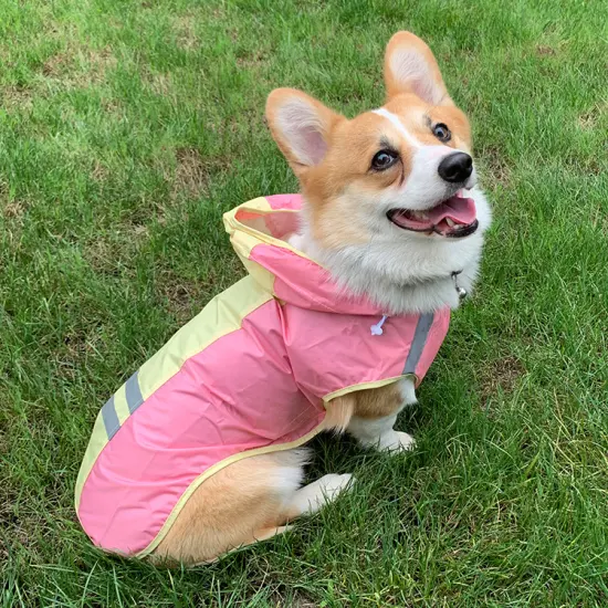 ホット卸売犬服ペット大型小型犬レインコートフード付き調節可能なペット犬レインコート